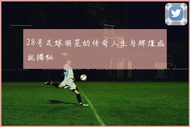 28号足球明星的传奇人生与辉煌成就揭秘