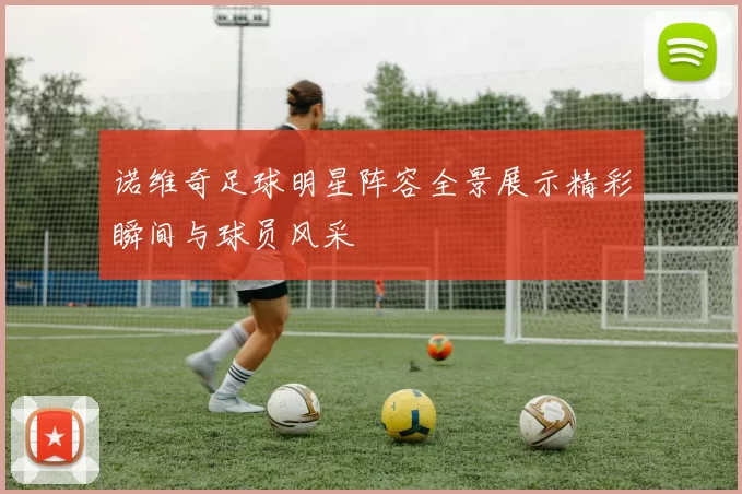 诺维奇足球明星阵容全景展示精彩瞬间与球员风采