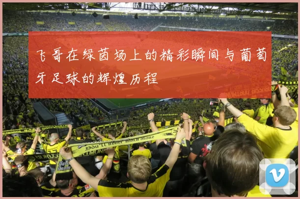飞哥在绿茵场上的精彩瞬间与葡萄牙足球的辉煌历程