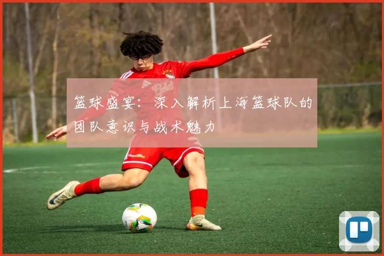 篮球盛宴：深入解析上海篮球队的团队意识与战术魅力