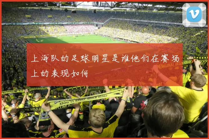 上海队的足球明星是谁他们在赛场上的表现如何