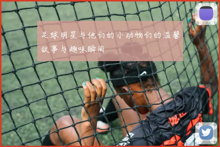 足球明星与他们的小动物们的温馨故事与趣味瞬间