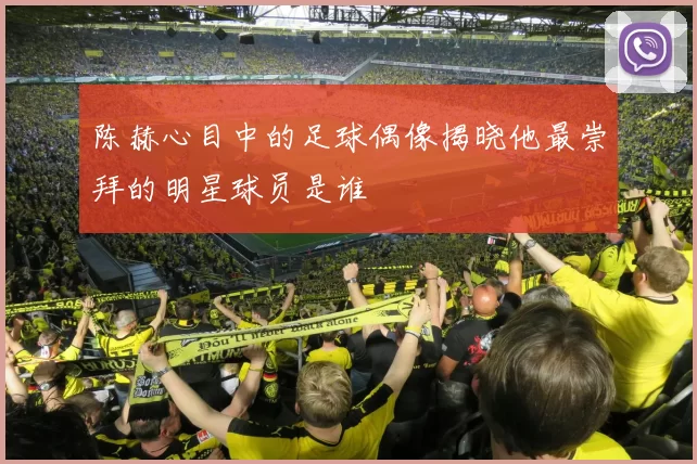 陈赫心目中的足球偶像揭晓他最崇拜的明星球员是谁