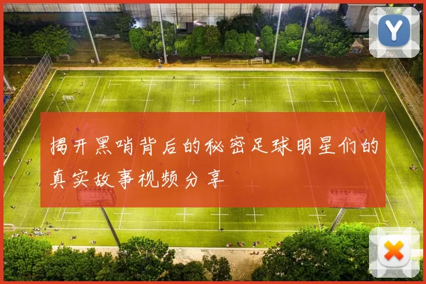 揭开黑哨背后的秘密足球明星们的真实故事视频分享