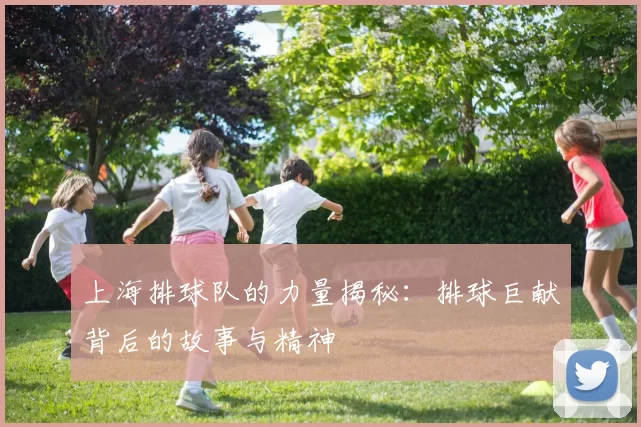 上海排球队的力量揭秘：排球巨献背后的故事与精神