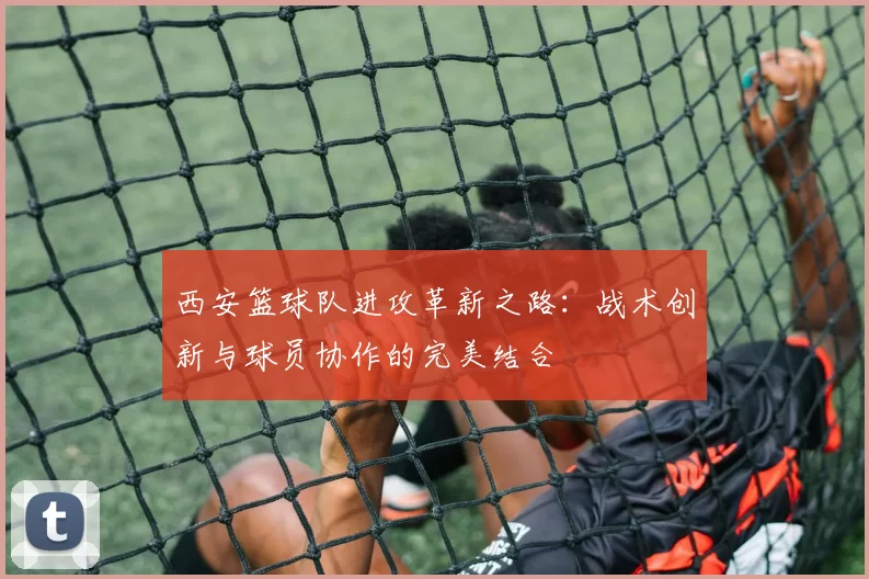 西安篮球队进攻革新之路：战术创新与球员协作的完美结合