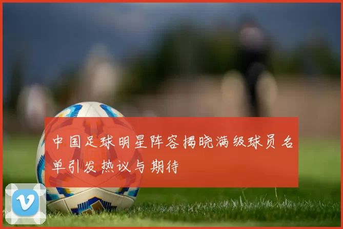 中国足球明星阵容揭晓满级球员名单引发热议与期待