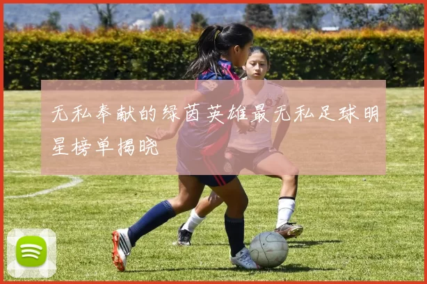 无私奉献的绿茵英雄最无私足球明星榜单揭晓